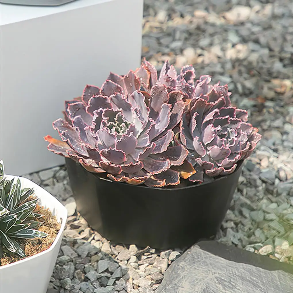 Succulent Planters Plastic Personality Decorations Flower Pot Large-caliber Plants Container for Office Yards White