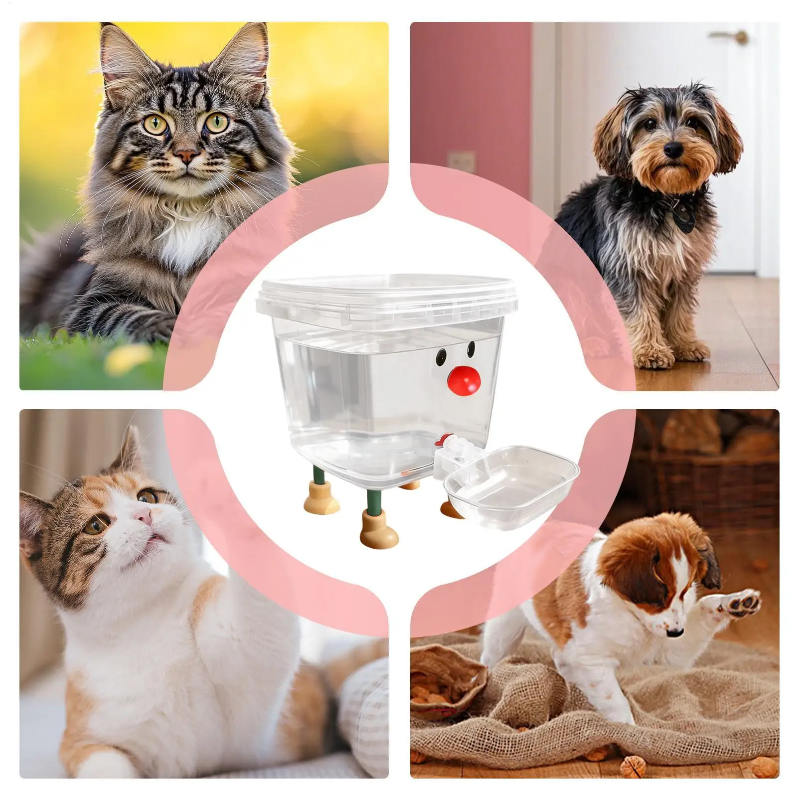 Thumbnail 4 - #11 Best Automatic Puppy Feeders to Buy In 2026
