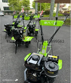 China Source Mini P…