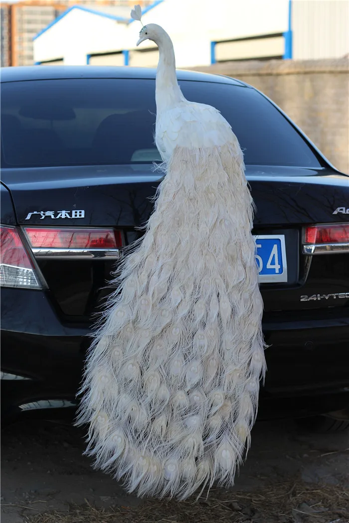 

long tail real life foam&feather white peacock model garden decoration bird gift about 150cm xf2802