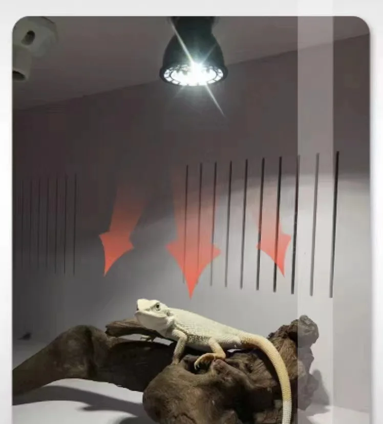 

Factory Direct Custom Plastic Calcium Lamp for Reptiles Full Spectrum Light Source Heating Lamp New Year's Holiday Offer