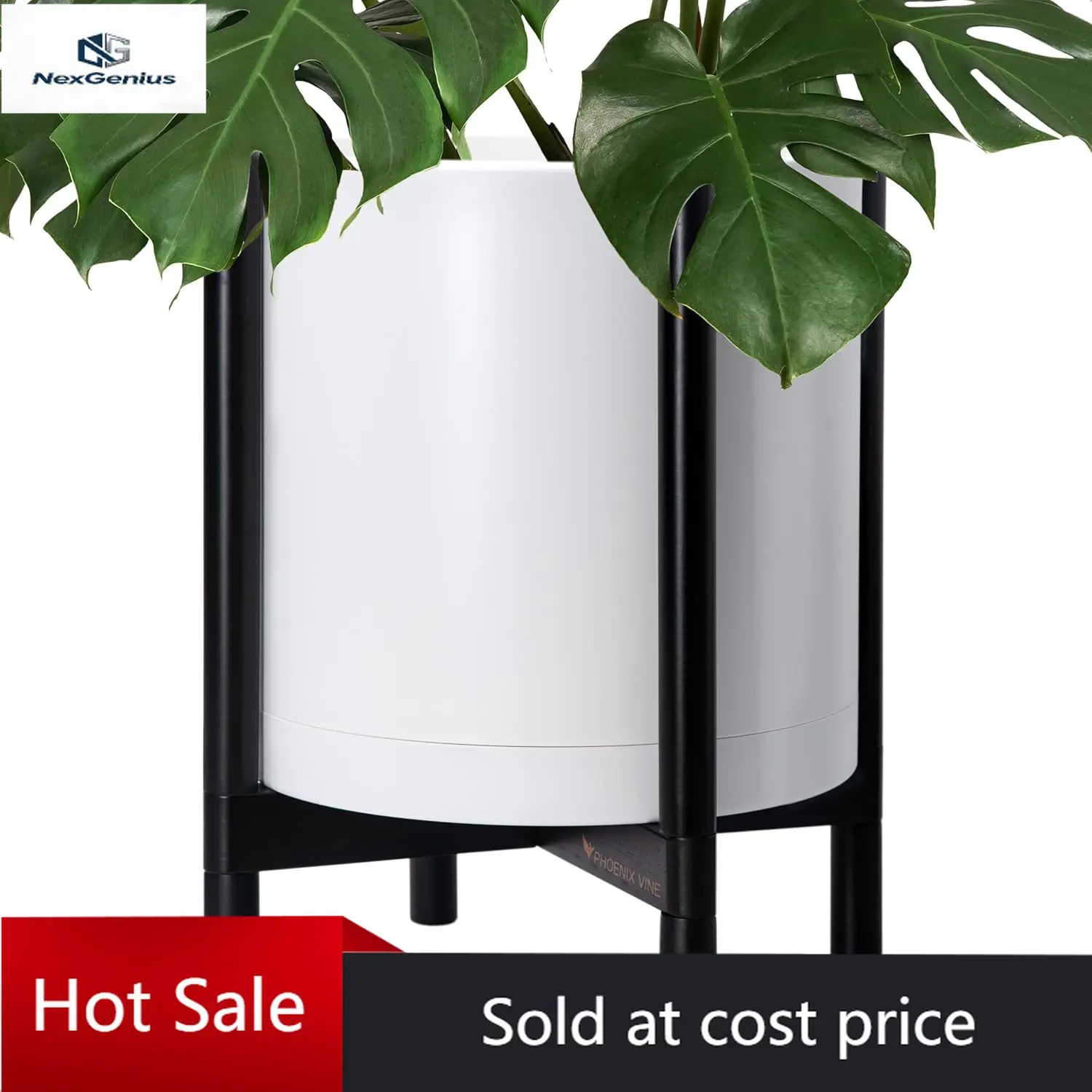 D'vine Dev Planter …