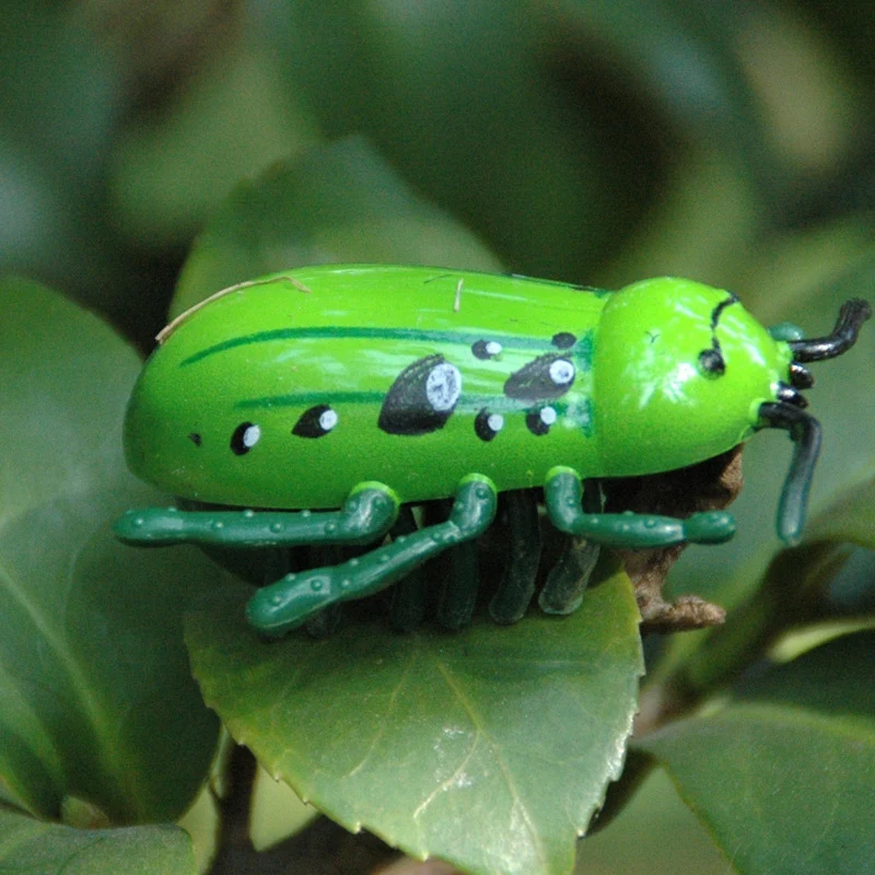 Electric Simulation Animals, Insects, Nano-Biological Fighting Insects, Children's Gifts, Electronic Toys (Random Style)