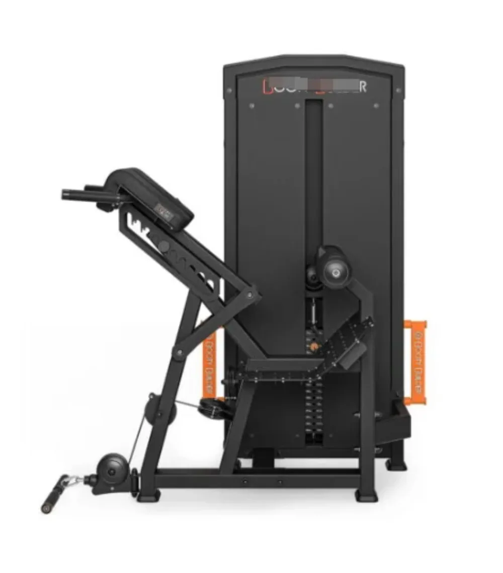 Loaded Machine Fitness Equipment Source Manufacturer Wholesale Sales Selectorized Back Extension