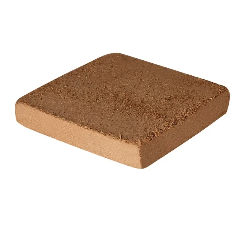 1 pezzo di mattone organico compresso Coco Coir Brick 10x10 cm Fibra di cocco Organico Terreno Pianta Media per la crescita Supporta la crescita delle piante