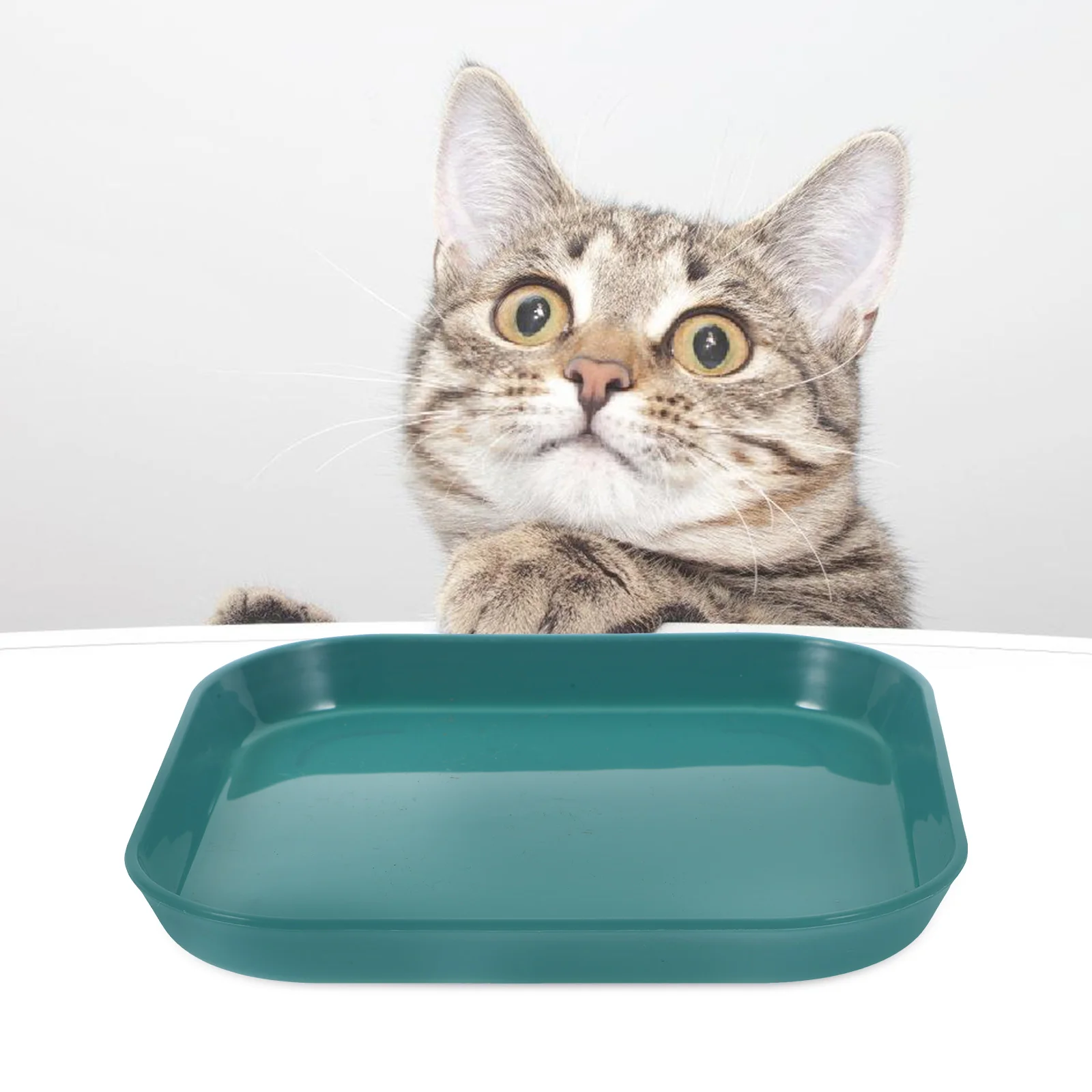 

5pcs Pet Feeding Bowl Cat Food Dish Flat Bowls Kitten Small Plates Plastic Design Durable Construction Safe Materials