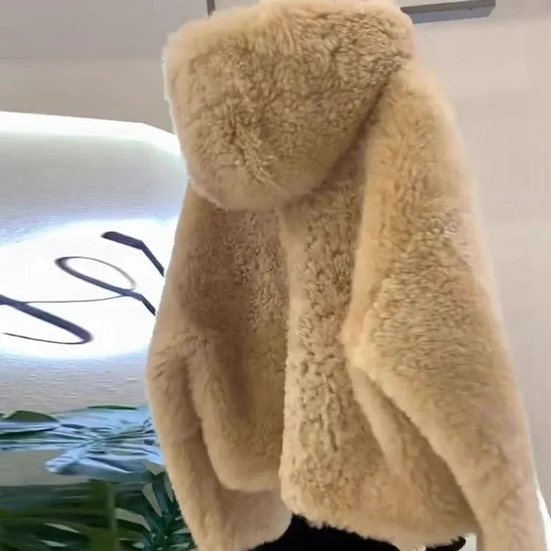 2023 nuove donne cappotto di alta qualità addensato sciolto delicato coreano con cappuccio capelli di agnello moda Casual confortevole cappotto corto