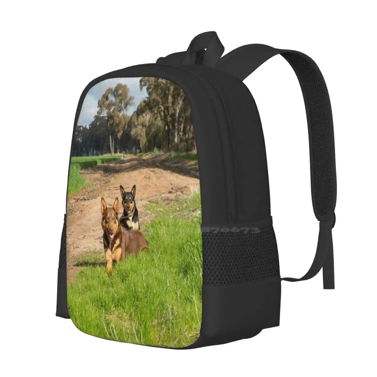 Ross & Missy......young Kelpies..... School Bags For Teenage Girls Laptop Travel Bags Kelpies Farm Dogs Working Dogs Rural Dogs