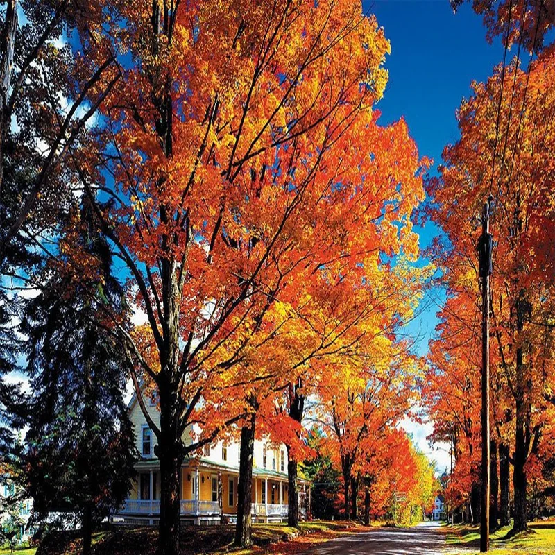 

For KIA Niro 2016-2021 Window B C Pillar Post Cover Trim Stickers Door Column Decorative Exterior Accessories