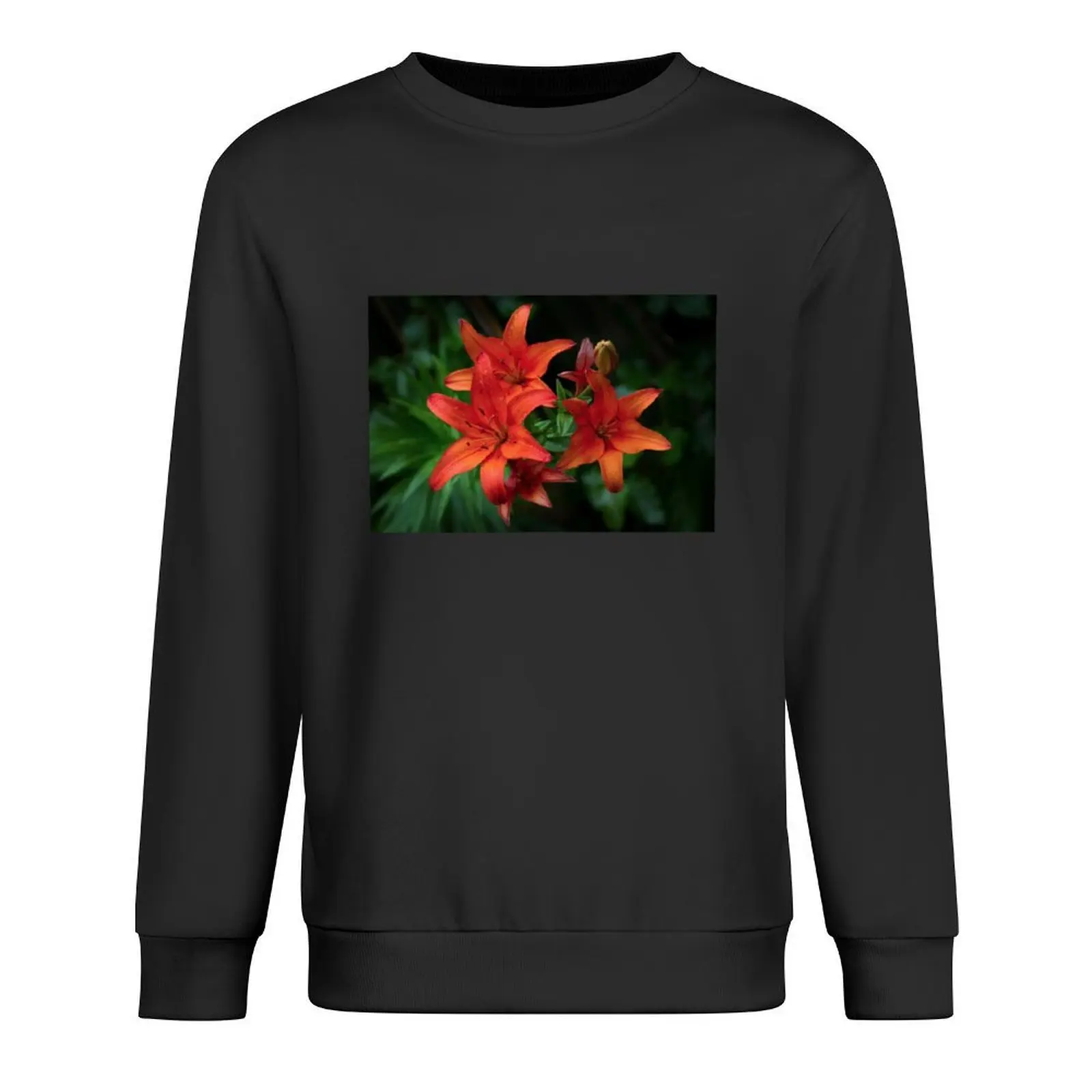 

Lily Pullover male clothes clothes for men men's coat men wear sweatshirt