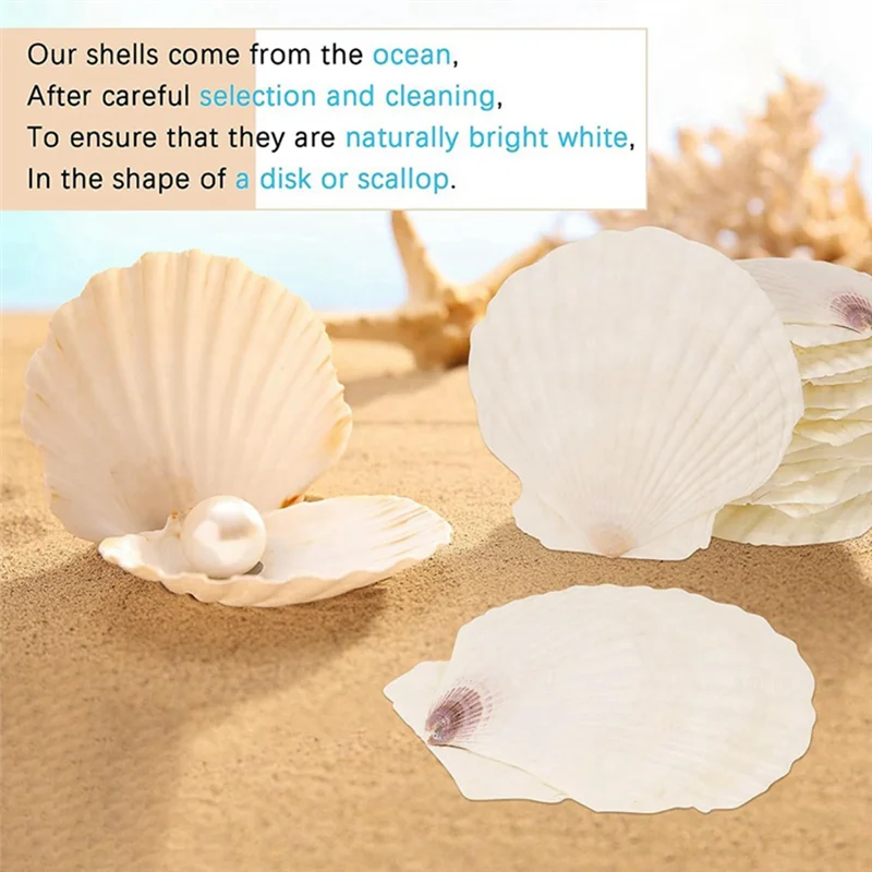15 PCS Natural Sea Shell Large White, 4-4.7 Inch Scallop Shells for DIY Craft, Serving Food, Baking and More