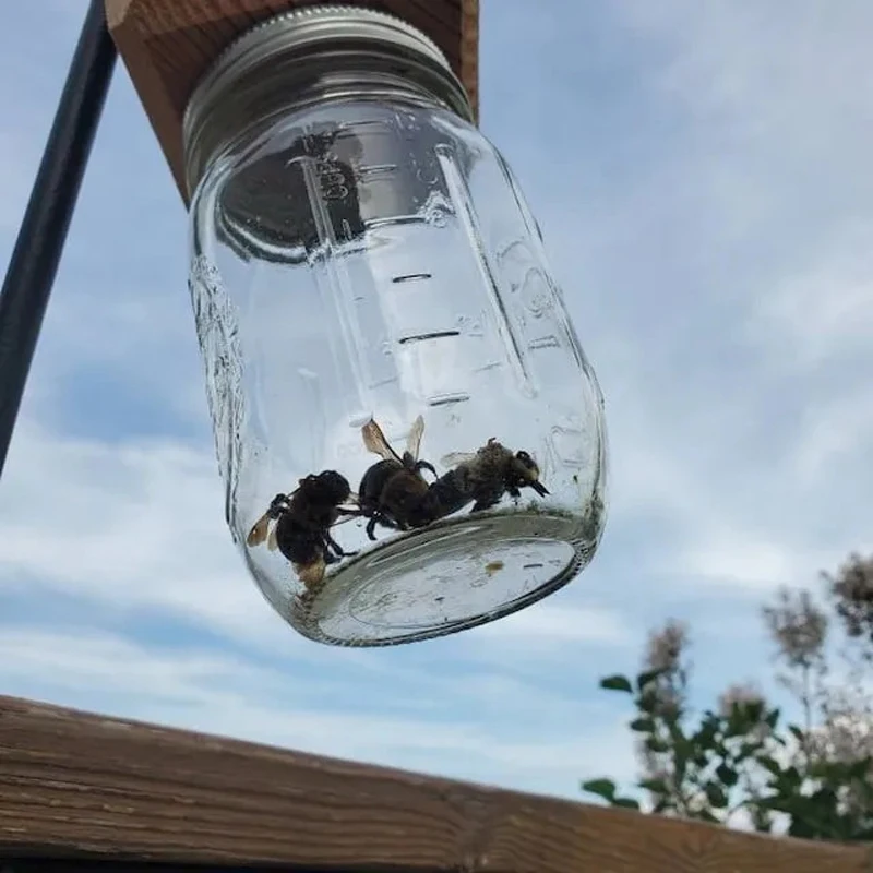 Best Carpenter Bee Trap for Wooden Solid Wood Bees Insects Hole Nests - Eco-Friendly Pest Control Solution