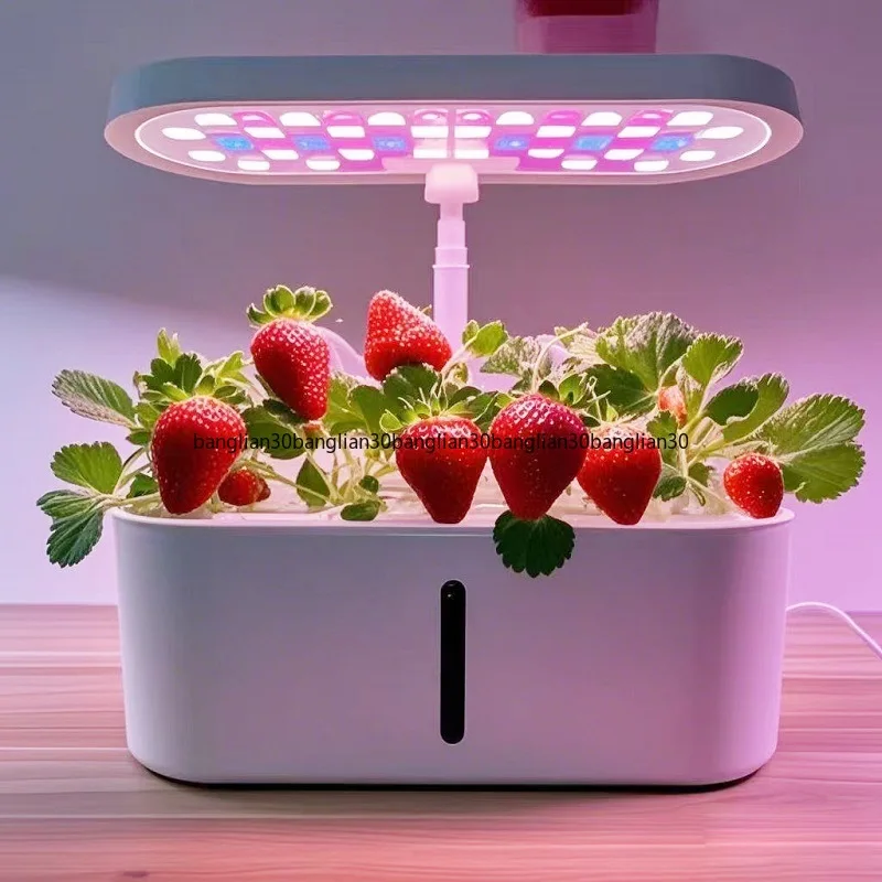 Planter Soilless Cultivation Hydroponic Flower Equipment Automatic Vegetable Planting Artifact Flower Pot