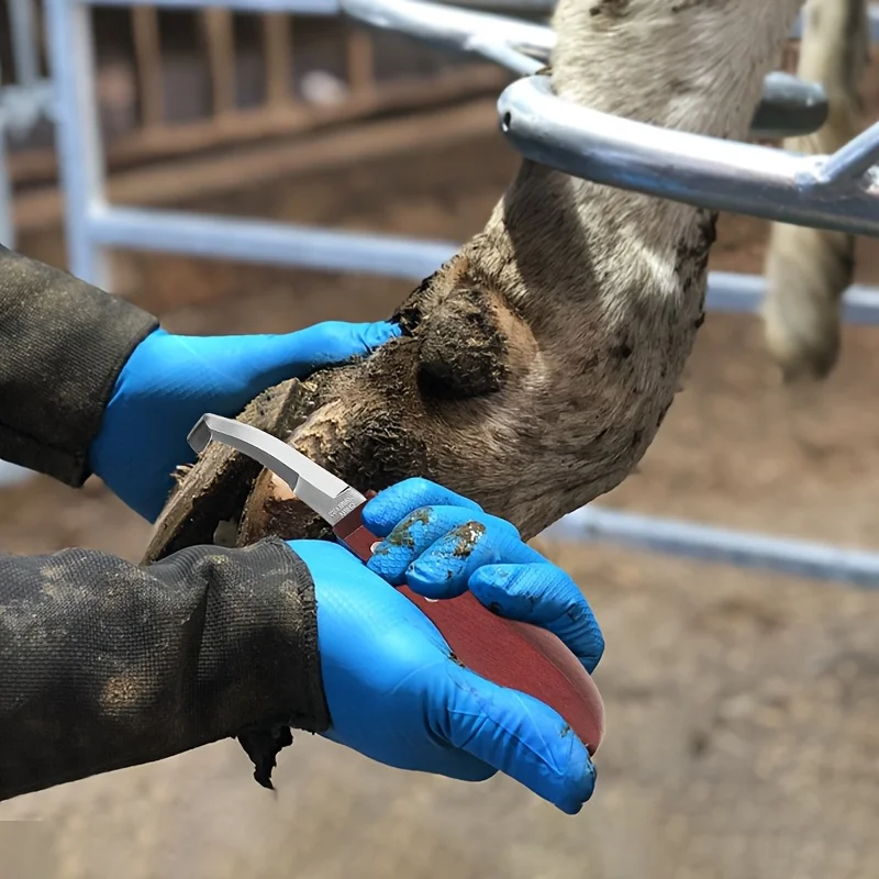 Hoof Knife With Sharpener Double Edge Curved Blade Wooden Handle Farrier Trimming Tool for Horse Cattle Sheep Goat Hooves
