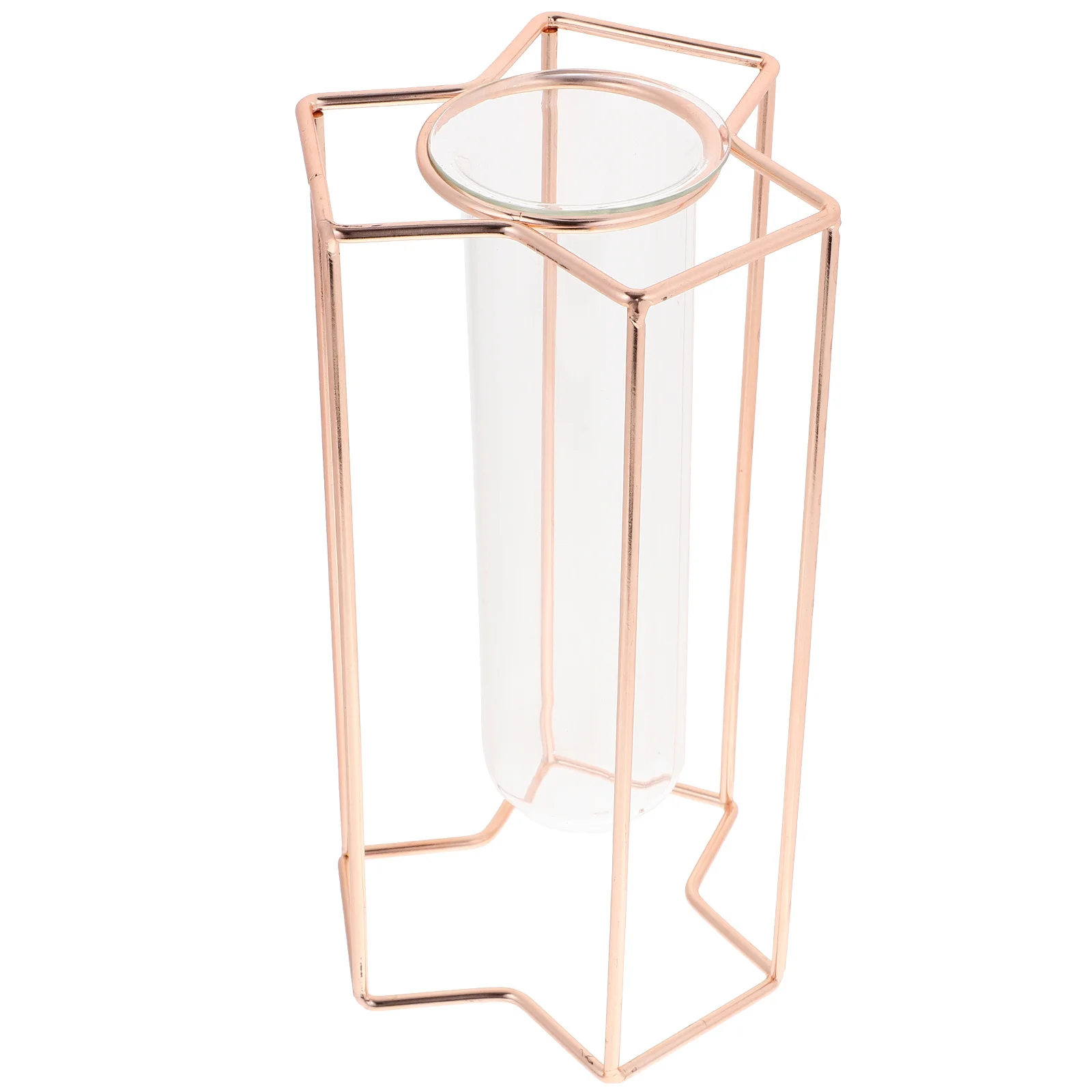 

Nordic Style Transparent Glass Flower Vase with Iron Stand Decorative Flower Planter Small Exquisite Vase for Home Garden