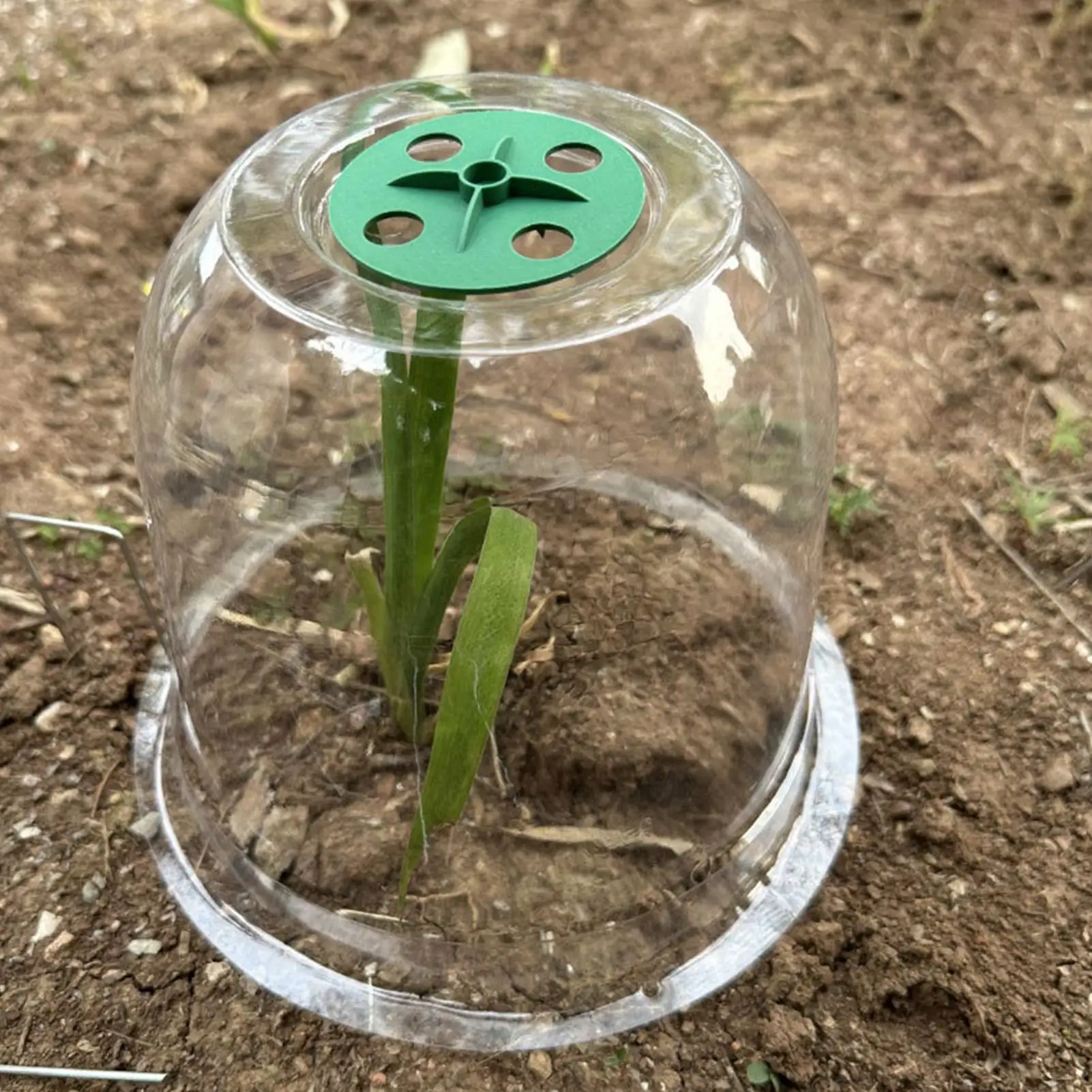 Garden Cloches For Plants Transparent Gardening Supplies Seedling Plant Protector Covers For Garden For Winter Outdoor Nurseries