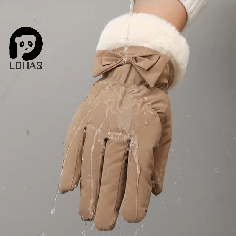 yZ[zXL[O[u~t[Xg؂ȖȖh^b`XN[܉OnoRp