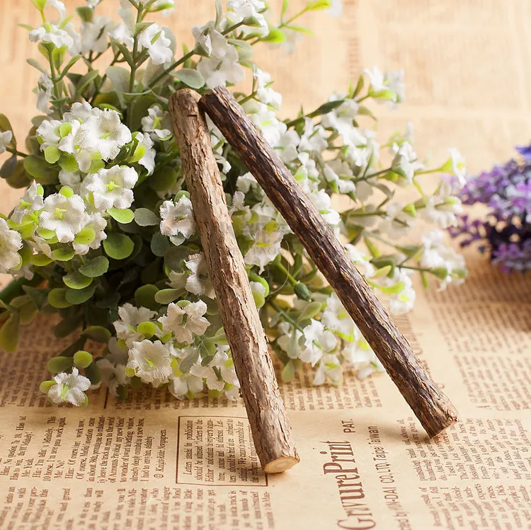 

2Pcs Kitten Teeth Stick Natural Cat Chew Treats Dental Health Safe Catnip Plant Teeth Stick