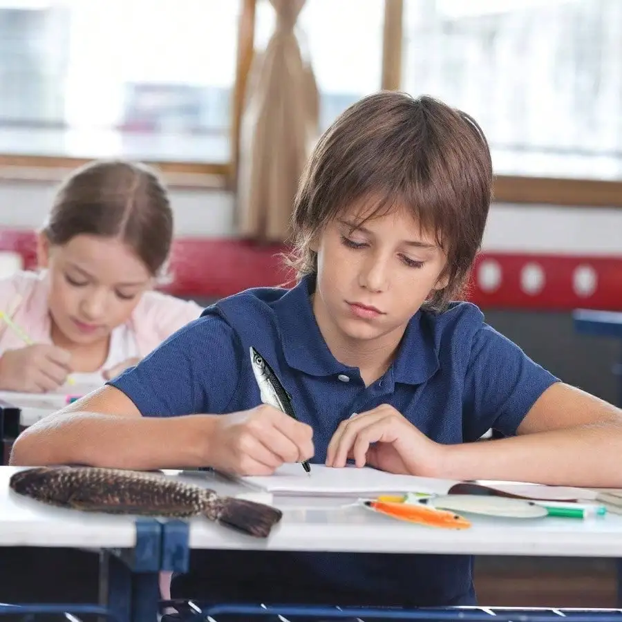 魚の形をした鉛筆、パッド入りフォームライニングと可愛い魚のペン付き