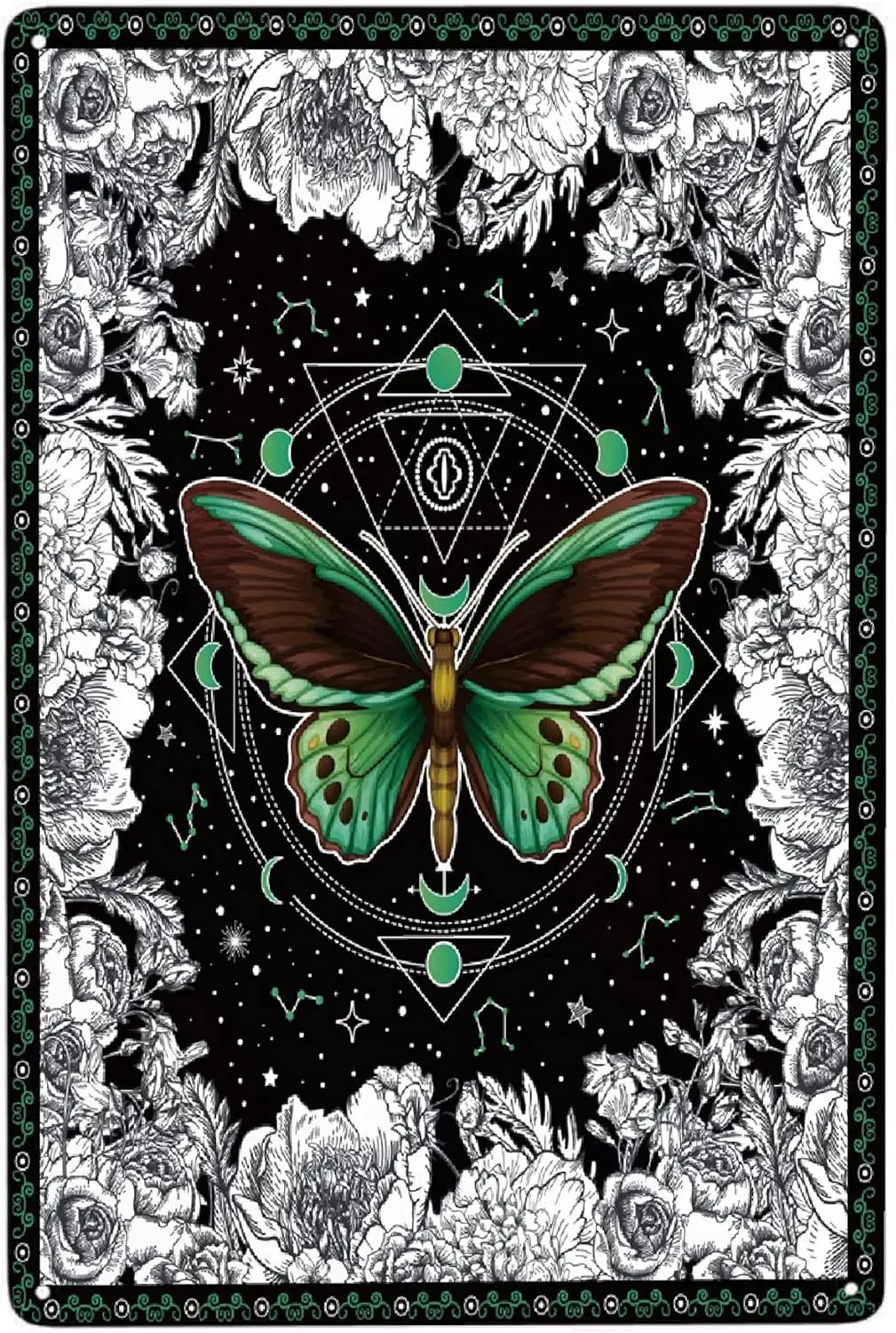 Moth Constellation …