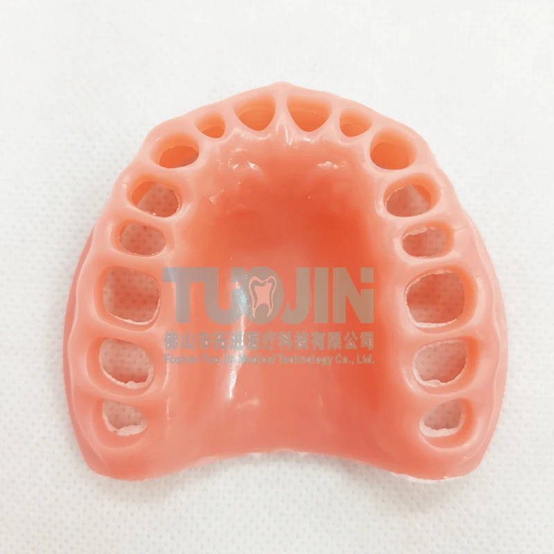 32 Teeth Dental Education Supplies Standard Tooth Model Soft Gum Typodont Silicone Soft Jaw for Dentistry Practice