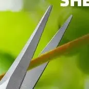 Garden Scisors Garden Stretching Shears Non-Slip Labor-Saving Flower Branch Branch Shears Fruit and Vegetable Shears
