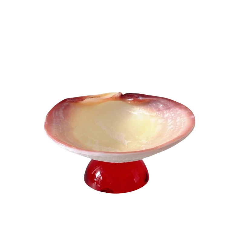 

Shell jewelry tray, taste plate, dessert plate, fruit plate.