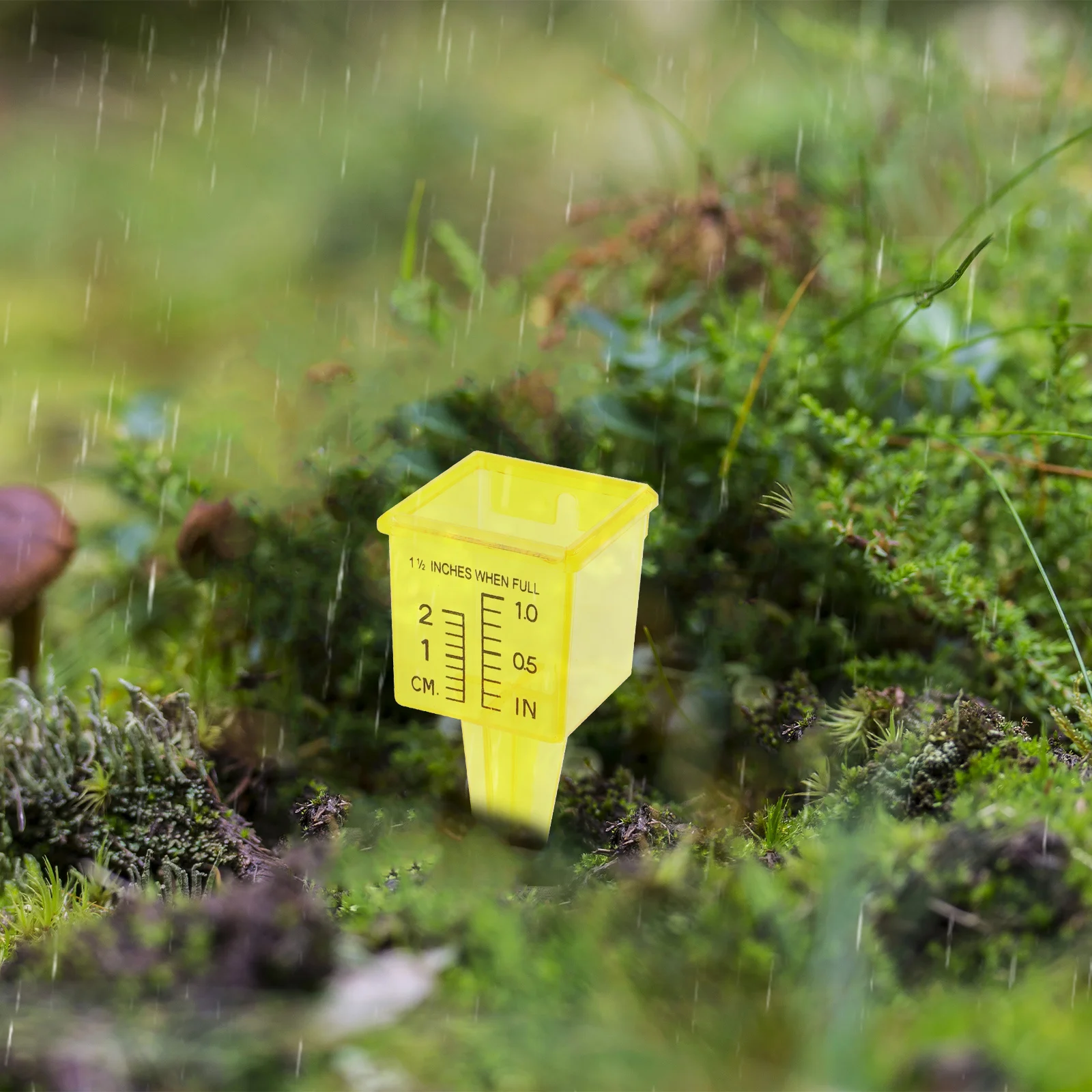 

10Pcs Plastic Rain Gauge Outdoor Rainfall Gauge Garden Water Measurement Rain Meter Tool Rainfall Measurement Metal Figurine