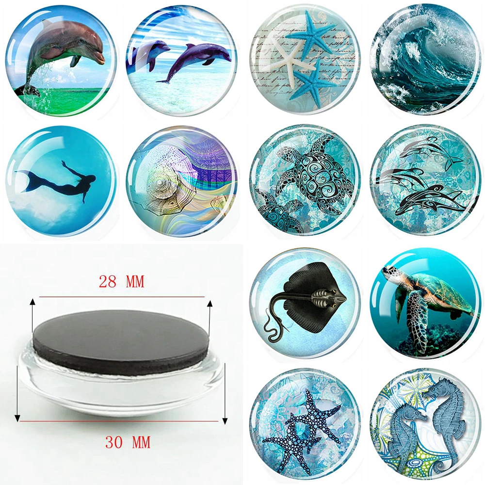1PC Blue marine creature sticker magnetic sticker, turtle, dolphin,shell glass dome magnetic souvenir, home decoration and gifts