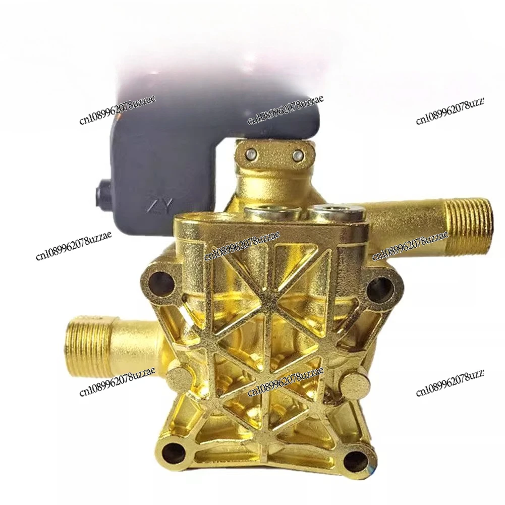 

Portable Household 220V Cleaning Machine Car Washing Machine 1508 Pump Head Assembly Copper-plated Pump Universal Accessories