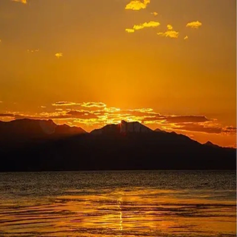 

HGLRC SPECTER 60A BL32 4in1 Mini ESC G071 128K Integrated CNC Heat Sink 20X20mm 3-6S for FPV Freestyle Drones DIY Parts