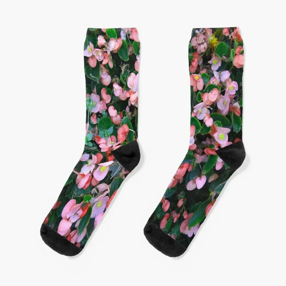 Bloomin Begonias Socks golf sports stockings Designer Man Socks Women's