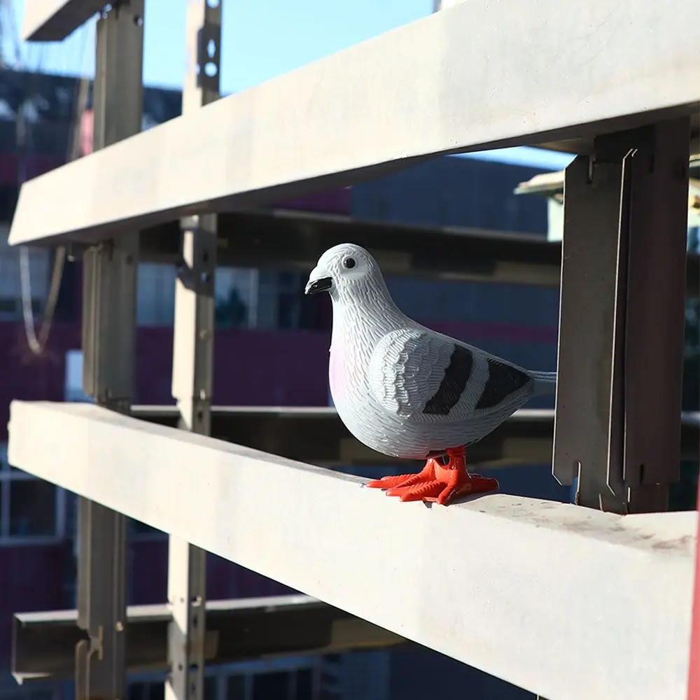 Pigeon Model Decoration Ornament Educational  Pigeon Clockwork  Artificial Feather Figurine Wind Up  Animal Model