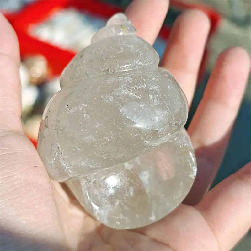 Natural Clear Quartz Seashell Carving Healing Fengshui For Childrens Room Birthday Gift Ornament 1pcs