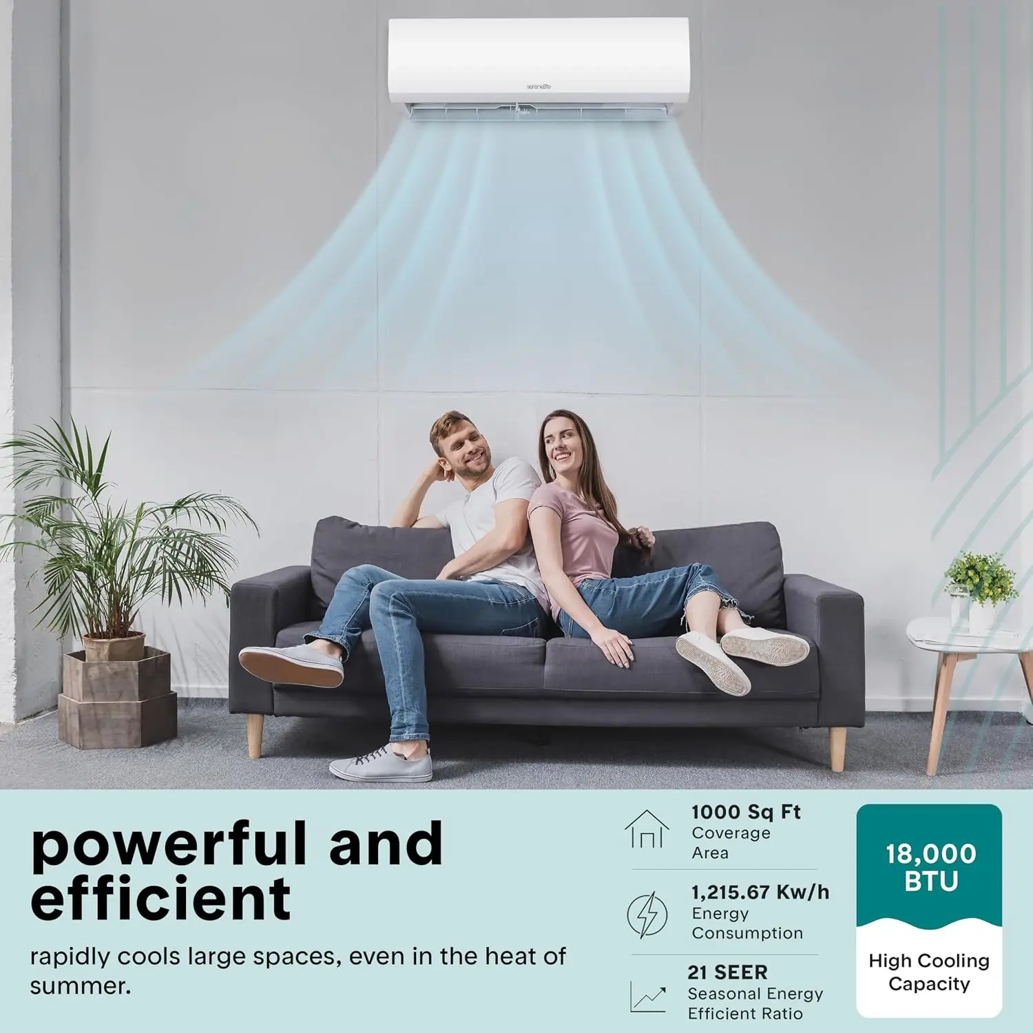 18,000 BTU Mini Split AC & Heating System, 230V Indoor & Outdoor Wall-Mounted Units with WiFi, Installation Kit, Custom