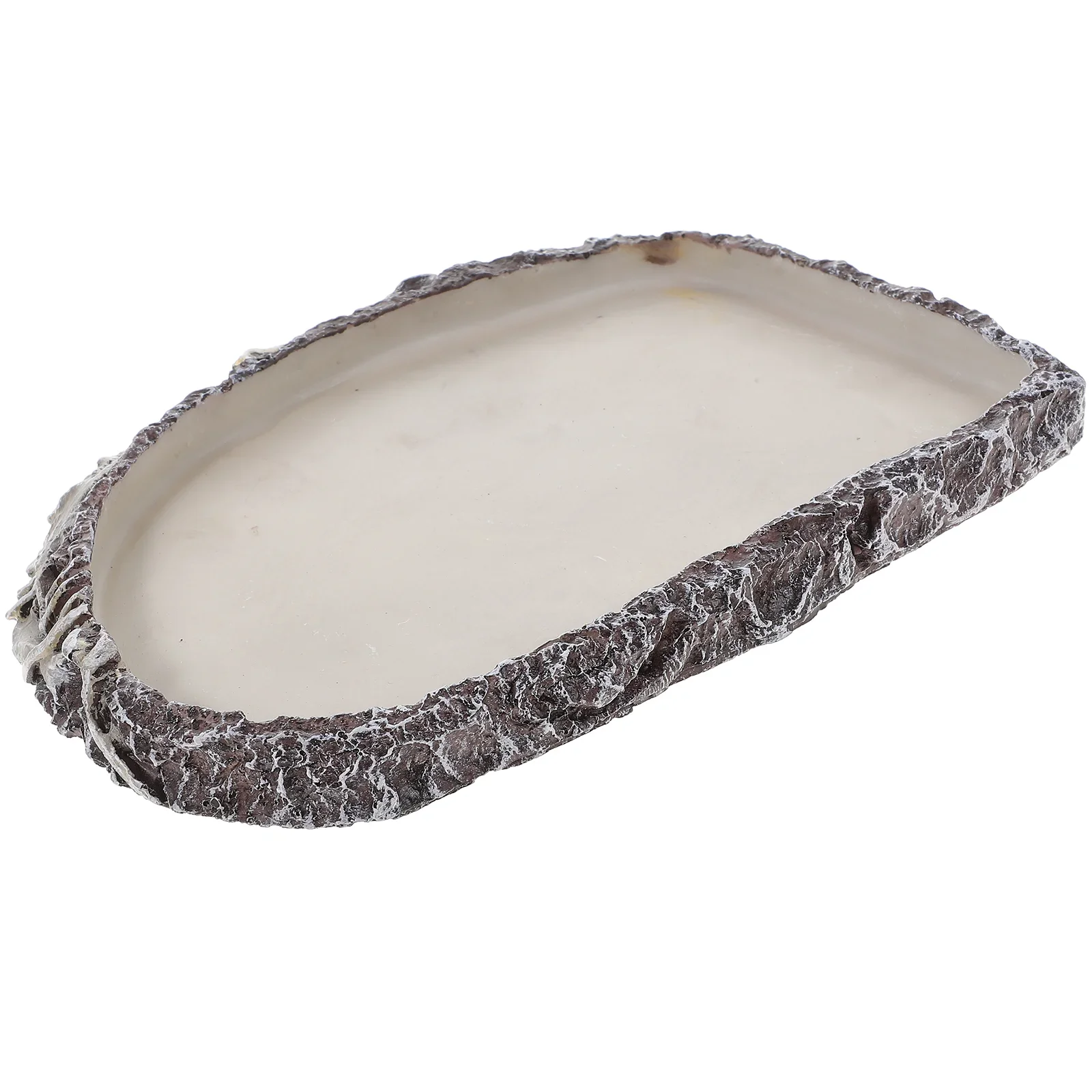 

Lizard Snake Water Basin Reptile Bowl Reptile Water Dispenser Beard Amphibian Food Bowl Resin Reptile Food Dish Pet