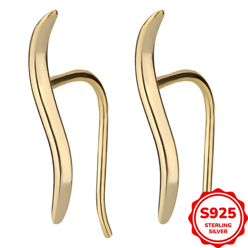 

Classic and Fashionable Authentic S925 Silver Wave Ladies Earrings Simple and Versatile