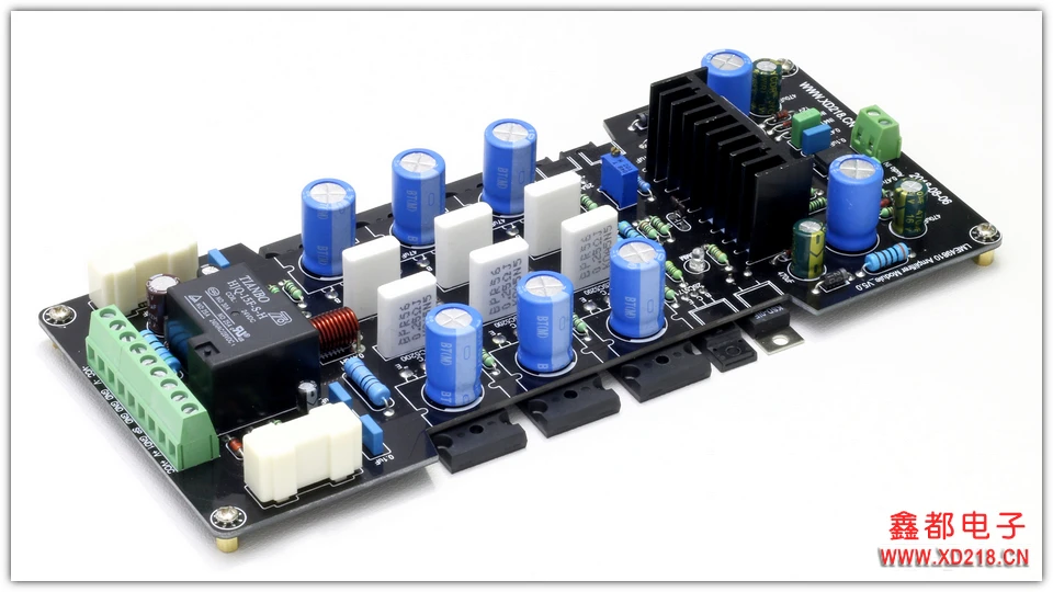 LME49810 with 300W Mono DC Servo High Fidelity Amplifier Board (finished Product Without Heat Sink)