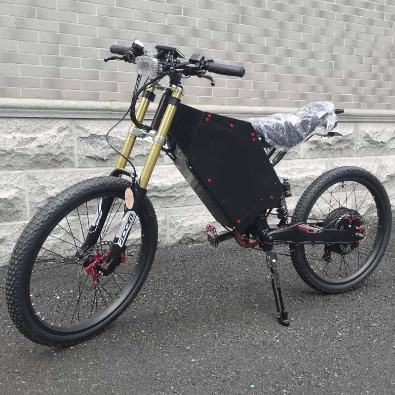 

100km Long Range CZDM 48V 30Ah 3000 Electric Bicycle Electric City Bike for Adult