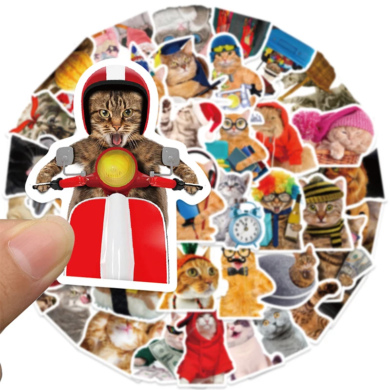 50PCS Cute Cat Meme Stickers Funny Cartoon Waterproof Vinyl Decals for Skateboard Envelope Guitar Scrapbook Phone Case Luggage