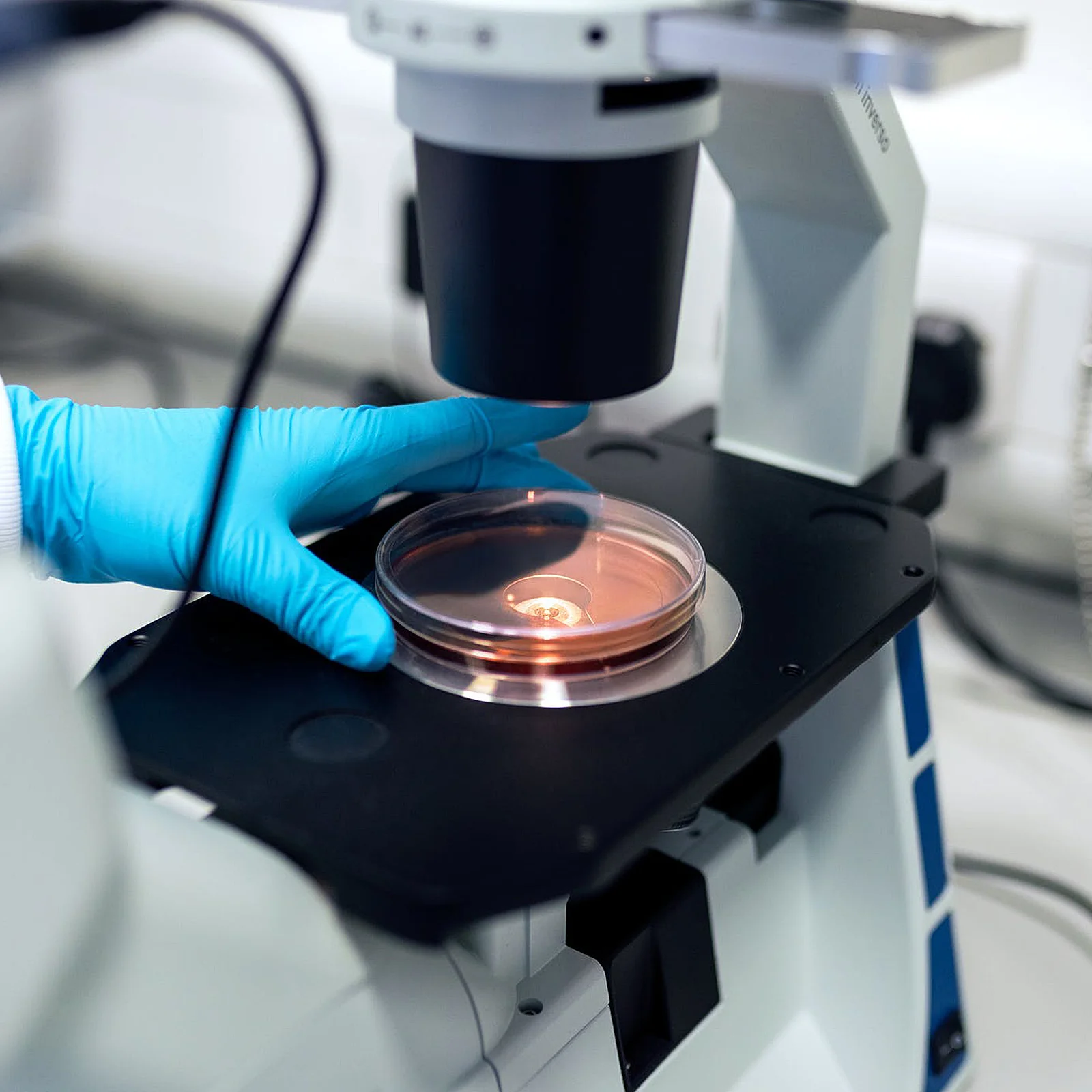 

30Pcs Professional Petri Dishes Clear Uniform Thickness with Lid Design for Accurate Analysis Petri Dishes Culture Dish