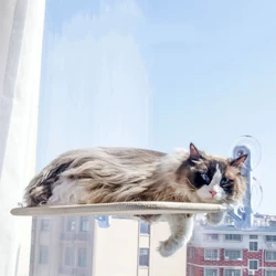 Cat hammock hanging nest super suction cup swing sunbathing removable hammock windowsill glass hanging bed cat climbing frame