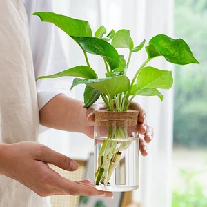 Transparente Hydroponic Blumengefäßpflanzung ohne Bodenblumgefäß von grünen Pflanzen in der Gefäßhausdekoration 1PC 12 Hauptverkaufsglas Pot - №12