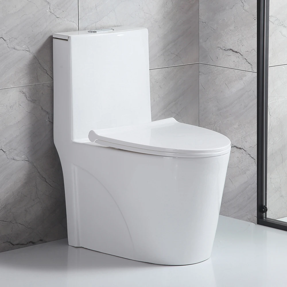 

Small Compact One Piece Toilet Dual Flush