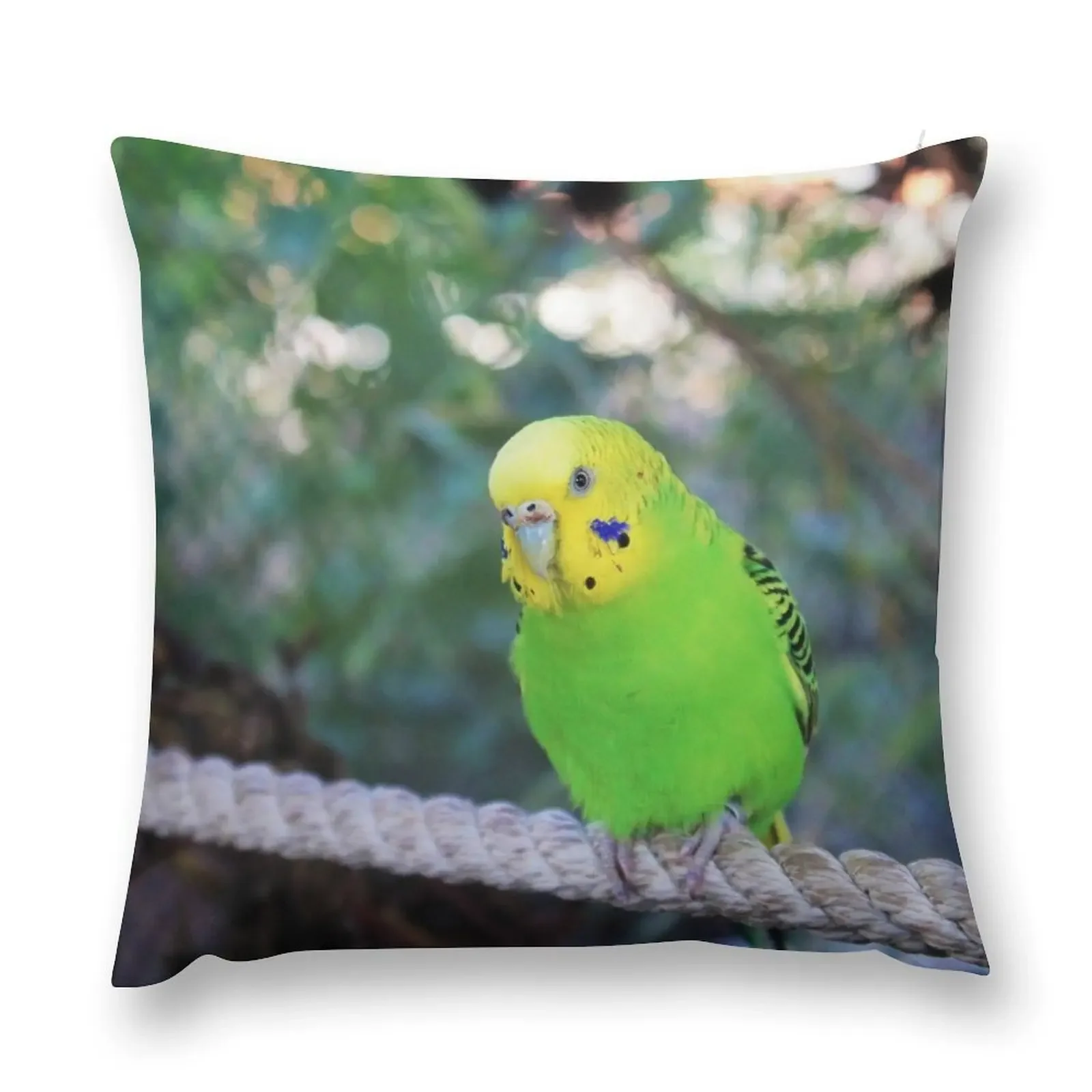 

Budgie Throw Pillow ornamental pillows for living room Sofa Cover pillow