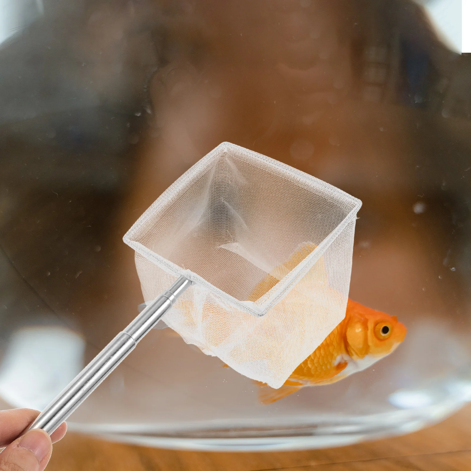 

Telescopic Stainless Steel Fishing Net 15.7 Inch Extendable Fine Mesh for Freshwater Saltwater Pond Aquarium Skimmer