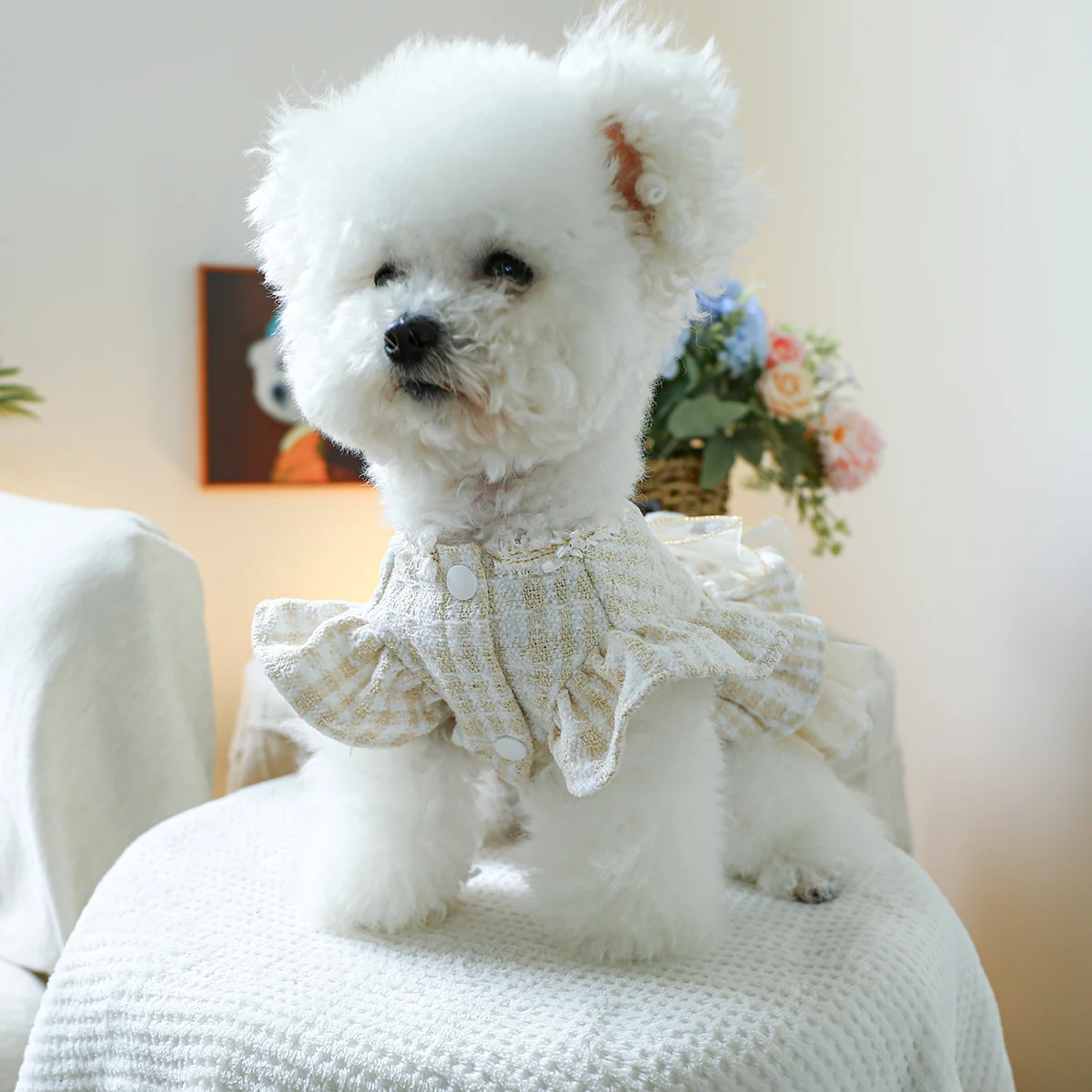 1PC Pet Clothing Spring and Autumn Gabrielle Dress Wedding Princess Dress Suitable for Small and Medium sized Dogs