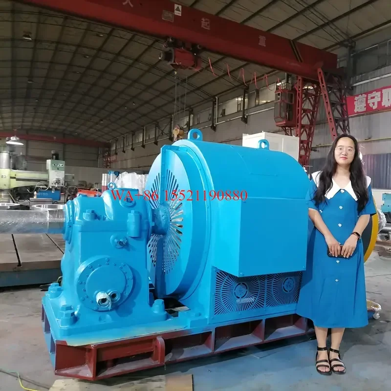 WMWMNU for 500 KW Francis Turbine Micro Hydro Generator Water Power Hydropower System Eco Friendly Renewable Energy Source