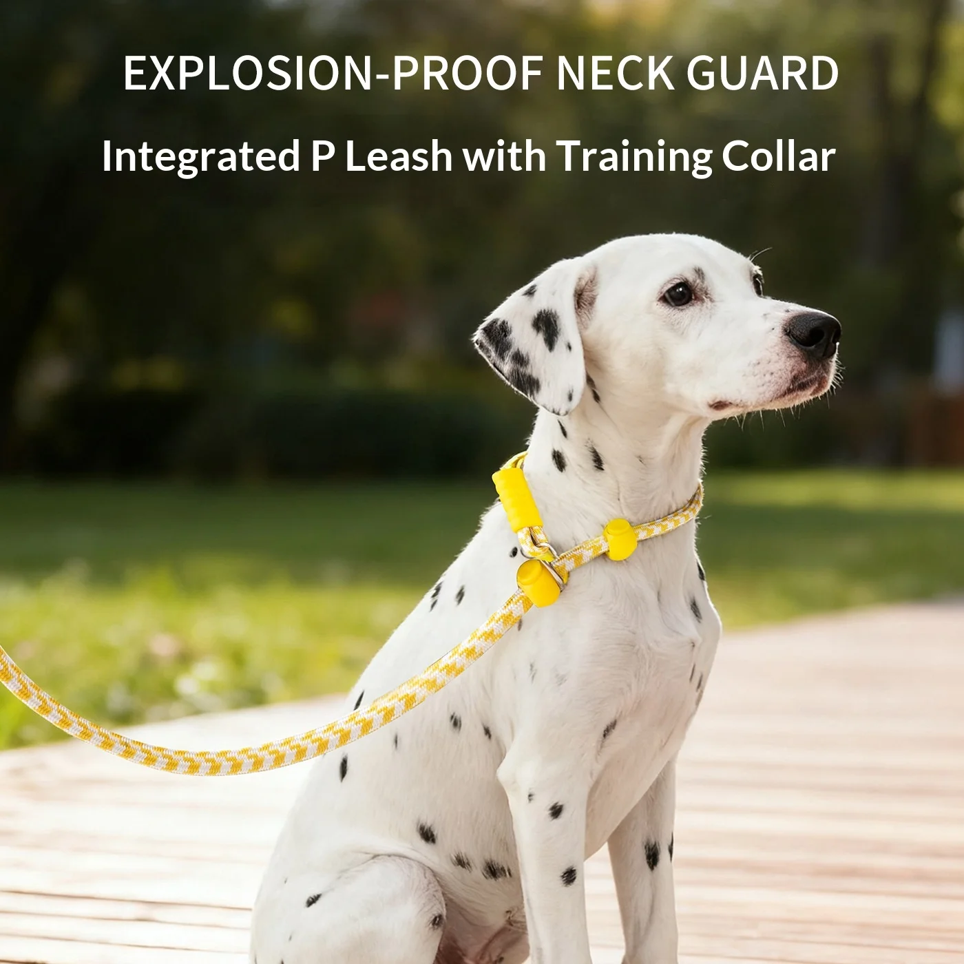 Dog leash dog rope training P rope large medium and small dog P chain explosion-proof flush walking dog rope dog harness