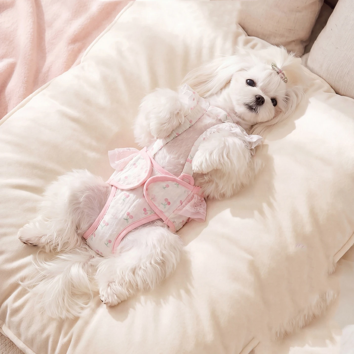 Yorkshire Sicherheitshosen für Hunde, physiologische Hosen für kleine Hunde, Menstruationshosen, verstellbare Hosen für Haustiere, S-XL